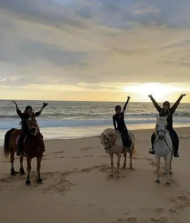 شقة Stork Nest فيلامورا