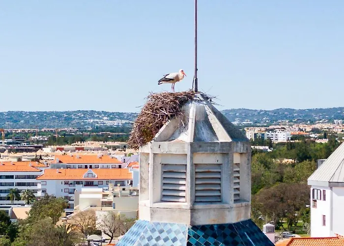 דירה Stork Nest *