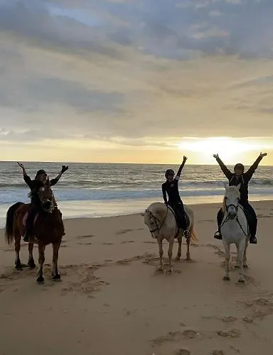 Апартаменты Stork Nest Виламура