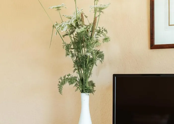 Stork Nest Апартаменты